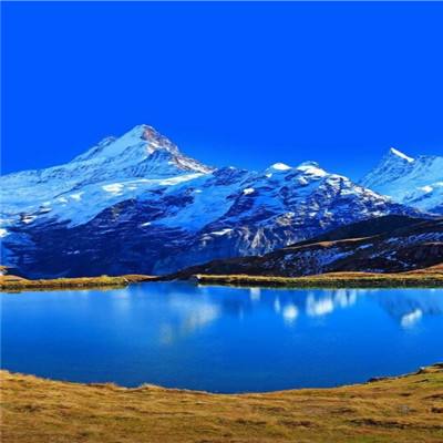 半导综合体育下载