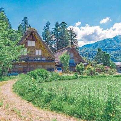 博鱼boyu官网截图