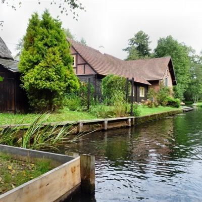 炸金花游戏手机app下载