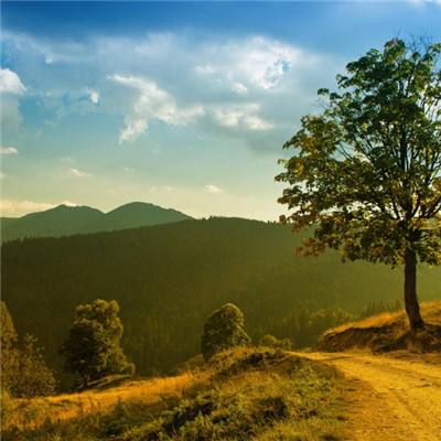 bbin彩票官网截图