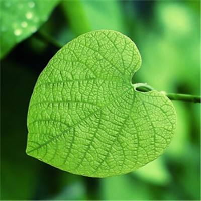 365平台官方版下载app下载